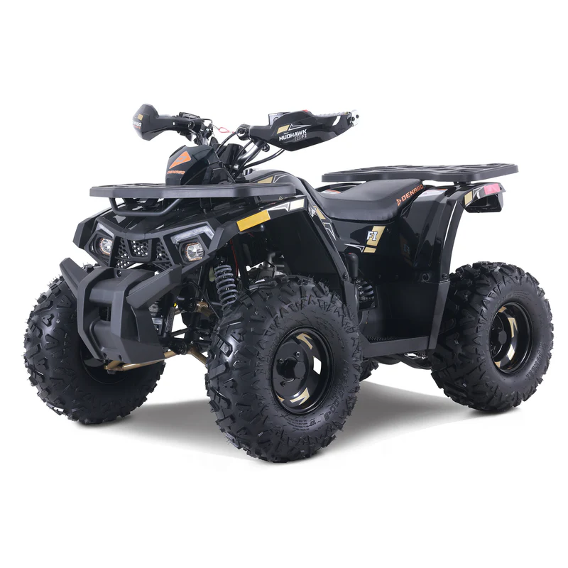 2024 Denago Mudhawk 10 for sale at Dave Warren Wholesale Powersports Super Center in Westfield, NY