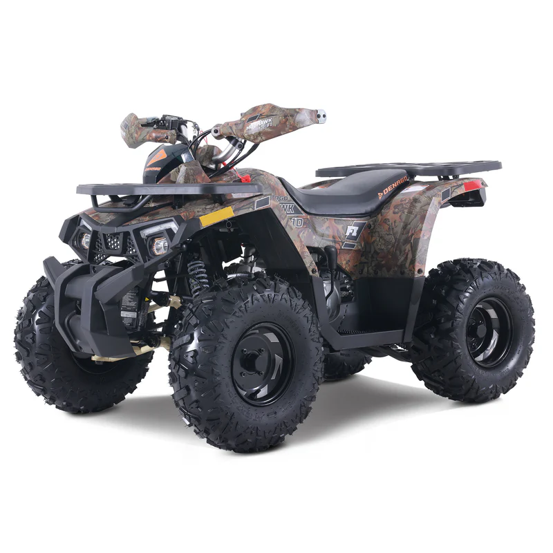 2024 Denago Mudhawk 10 for sale at Dave Warren Wholesale Powersports Super Center in Westfield, NY