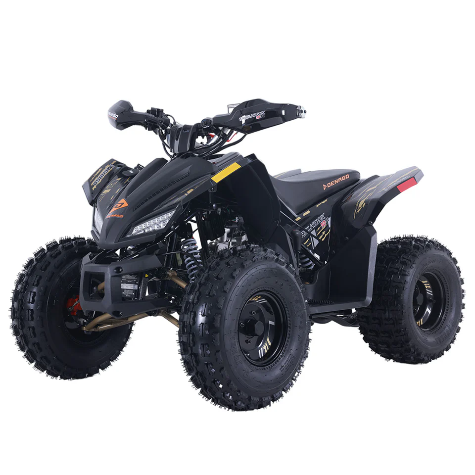 2024 Denago Trailhawk 10 for sale at Dave Warren Wholesale Powersports Super Center in Westfield, NY